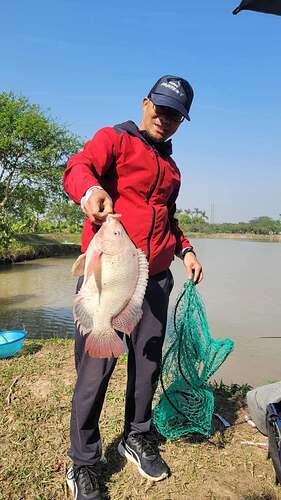 Hồ câu KDT Đặng Xá