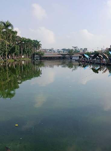 ho-cau-linh-beo-378-linh-nam-ha-noi-3