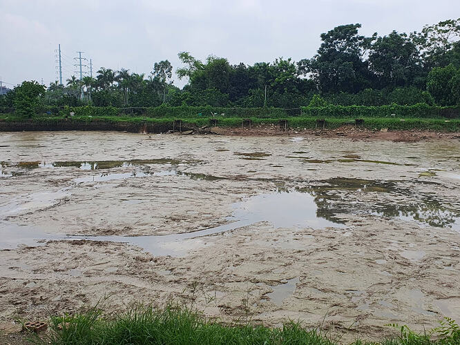So-do-ho-cau-dai-xuan-canh-886-6