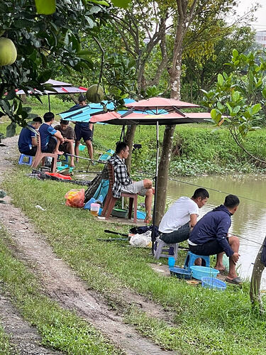 Hồ câu KDT Đặng Xá