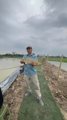 ho-cau-nha-minh-2