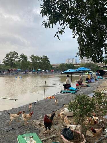 ho-cau-dai-dai-nam-ha-dong-phu-luong-sorae-11