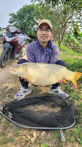 Hồ câu KDT Đặng Xá
