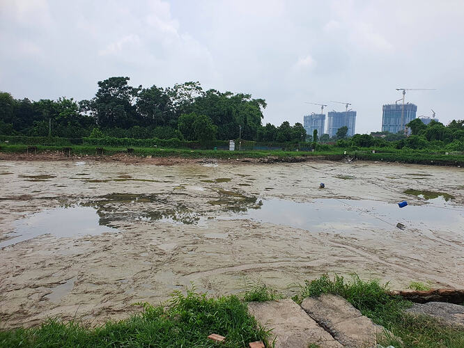 So-do-ho-cau-dai-xuan-canh-886-7