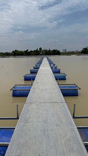 ho-cau-nha-minh-3