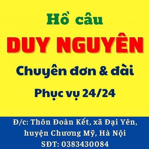 ho cau duy nguyen - 3