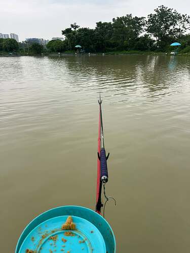ho-cau-dai-dai-nam-ha-dong-phu-luong-sorae-3