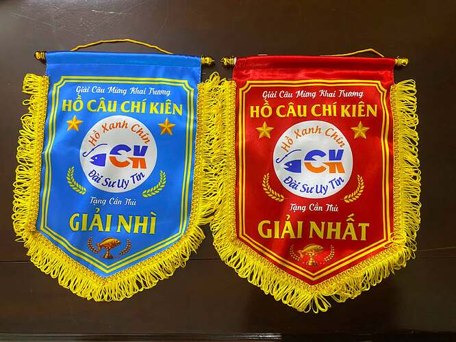 khai-truong-ho-cau-chi-kien-28-08-2026