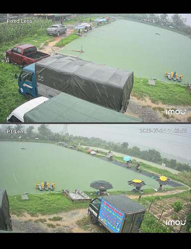 ho-cau-dai-trai-vang-3