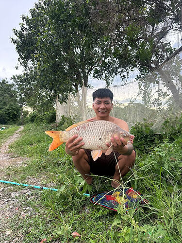 ho-cau-dai-dai-nam-ha-dong-phu-luong-sorae-6