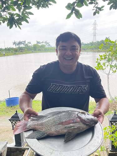 Hồ câu KDT Đặng Xá